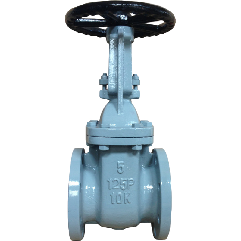 Cast iron light weight valve rising stem for indoor fire fighting