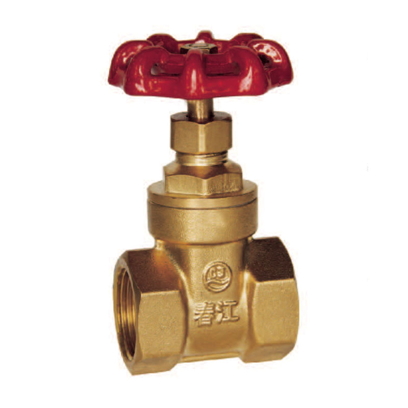 Flexible Brass heavy valve ex-factory price water meter accessories
