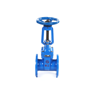 Resilient Seated Gate Valve With Competitive Price